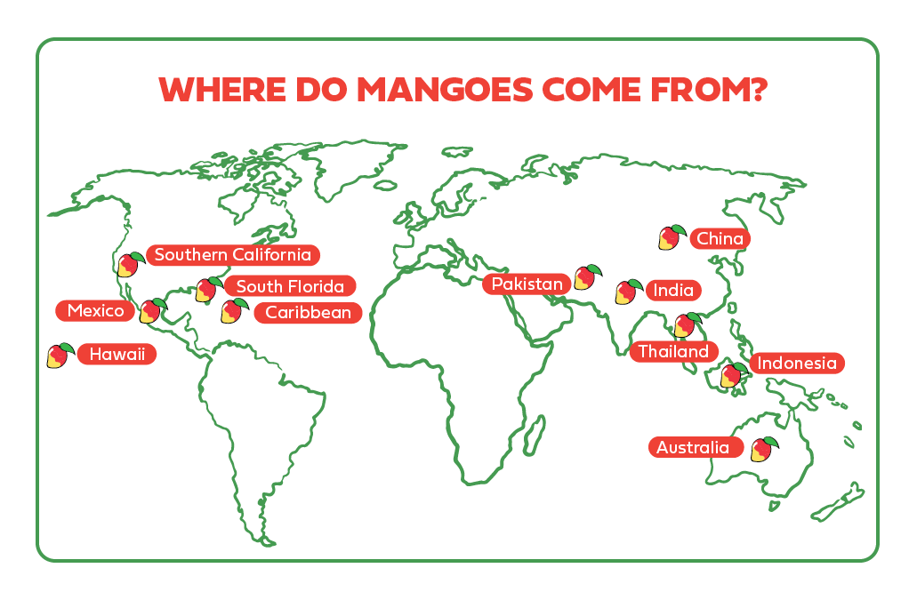 Guide To Mangoes The Table By Harry David