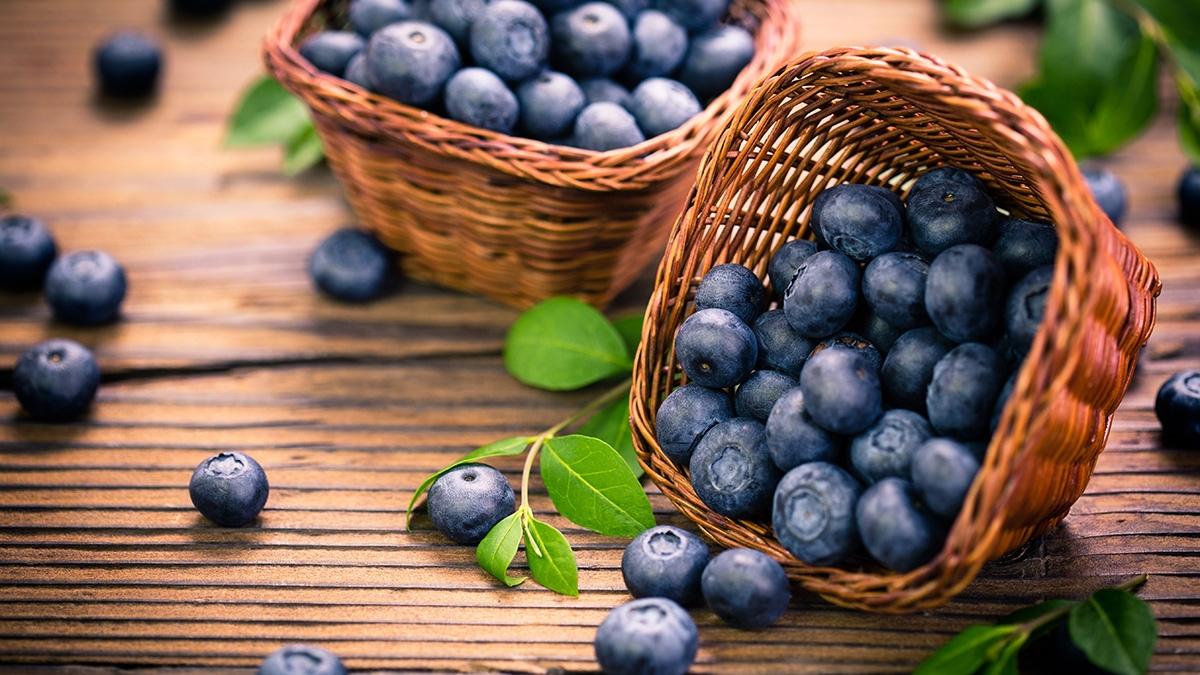 facts about blueberries basket of berries x