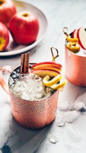 Moscow Mule recipe image   moscow mule in copper mug with a twist of lemon, apple slices and a stick of cinnamon.