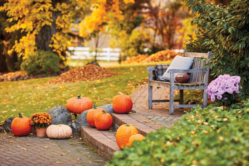 fall birthday party ideas image   pumpkins on a walkway to a patio.