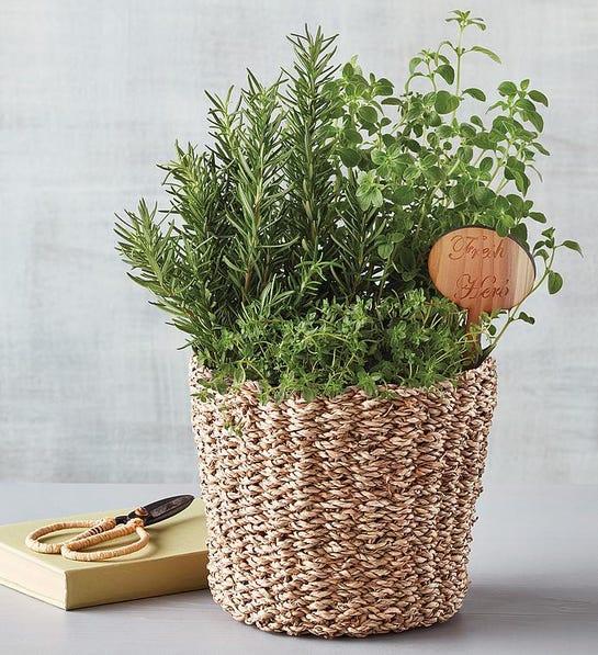A photo of thanksgiving host gifts with a house plant in a whicker basket