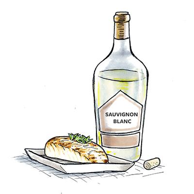 Drawing of a bottle of sauvignon blanc next to a plate of cooked halibut.