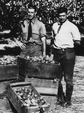 https://harryanddavid.com/blog/wp content/uploads///Early Harry David w Pear Crates