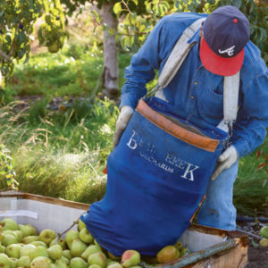 https://harryanddavid.com/blog/wp content/uploads///Pear Picker at Harry David x