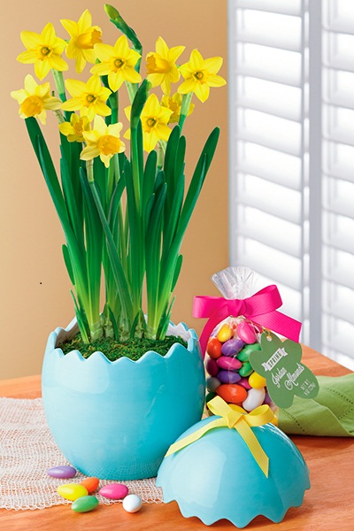 Easter Daffodil Garden Gift HarryDavid