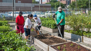 Smile Farms image gardeners tilling a garden bed