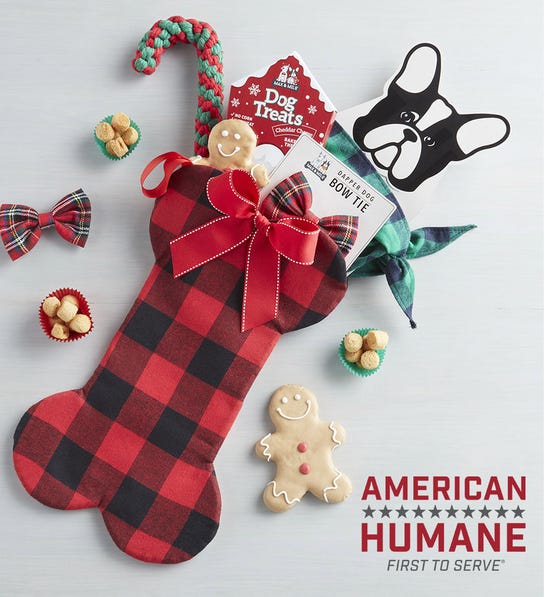 https://www.harryanddavid.com/blog/wp content/uploads///Max and Milo holiday dog stocking