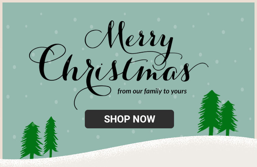 Merry Christmas Christmas Collection Banner ad