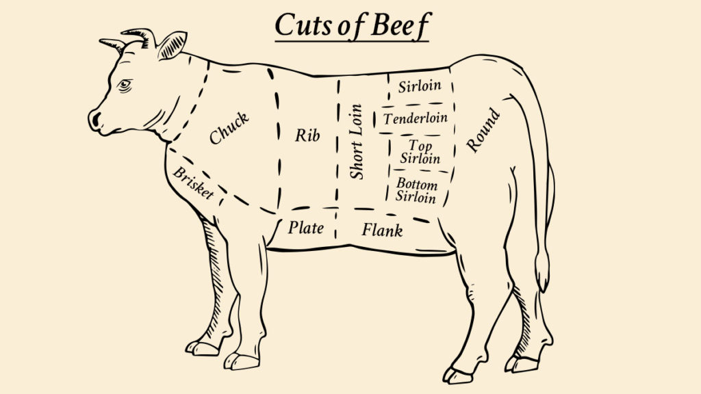 Illustration of a cow showing cuts of beef diagram