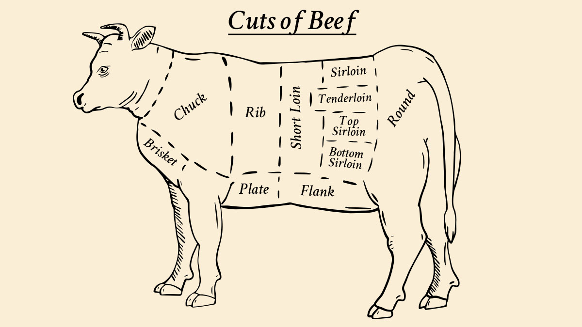 Cuts of Beef, Primal Cuts of Beef