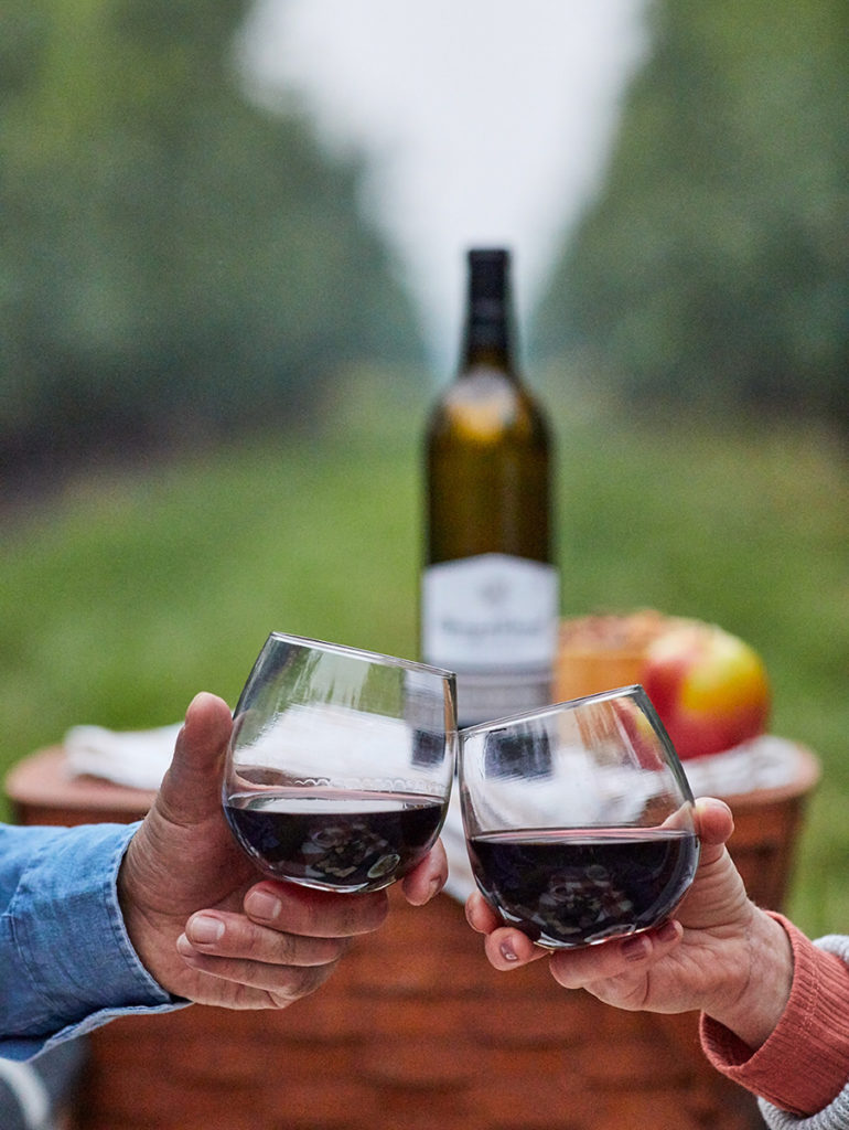 Wine pronunciation with two hands clinking two glasses of red wine together with a bottle of red wine in the background.