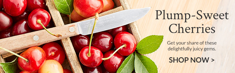 Plump Sweet Cherries Fruit Collection Banner ad