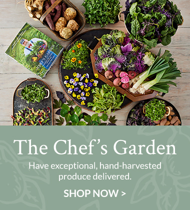 The Chefs Garden Vegetables Collection Banner ad