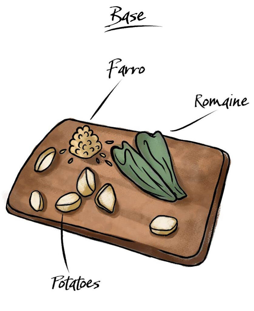 How to make a salad with an illustration of different salad base options