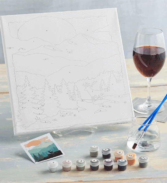  Sip And Paint Kit