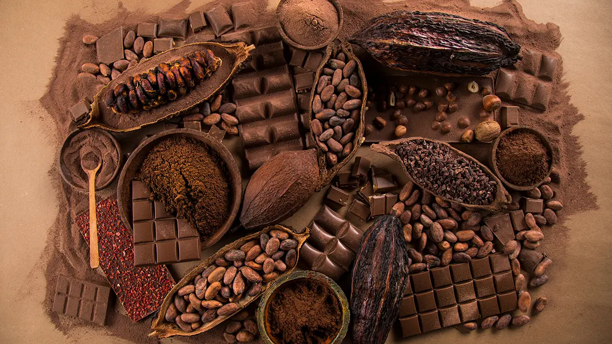 The History Of Chocolate: The Bittersweet Tale Of A Global Treat