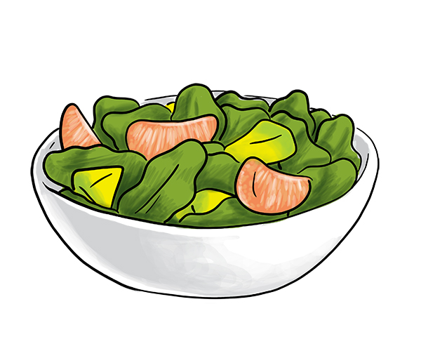 Grapefruit avocado salad drawing