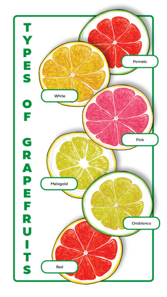& The David Grapefruits: Harry Types Table of A | Guide by