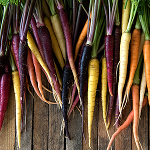 Multi colored carrots on a wooden table