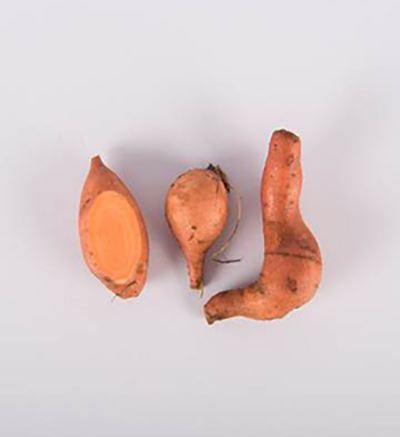 Copper penny sweet potatoes with a white background