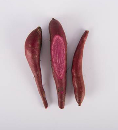 Crown jewel sweet potatoes with a white background