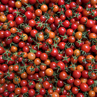 how to keep vegetables fresh tomatoes