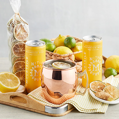 Moscow mule mocktail ideas kit